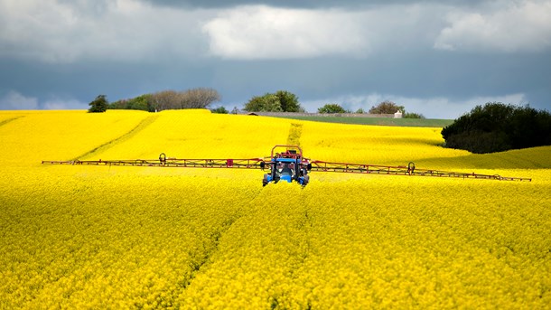 Jens Rohde: EU's landbrugsbudget trænger til radikal nytænkning