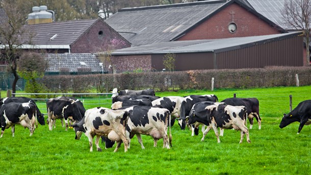 Økologisk Landsforening: Små producenter klemmes af lovgivning