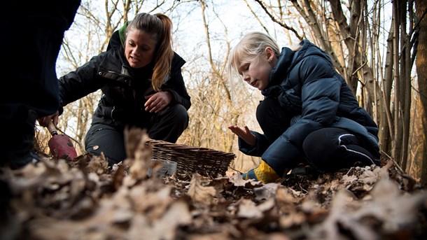 Naturvejleder til DN: I skal lære danskerne at elske naturen