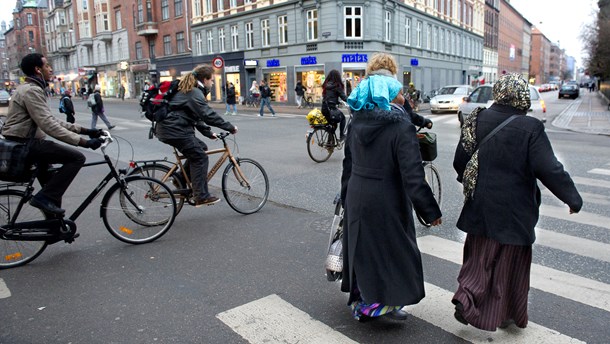 Paula Larrain: Nødvendig bog gør op med sproget i udlændingedebatten