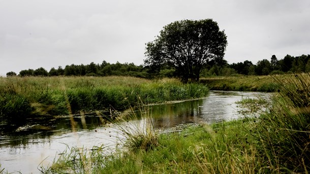 Udflytningen risikerer at gå ud over vandmiljøindsatsen, advarer Danmarks Naturfredningsforening. 