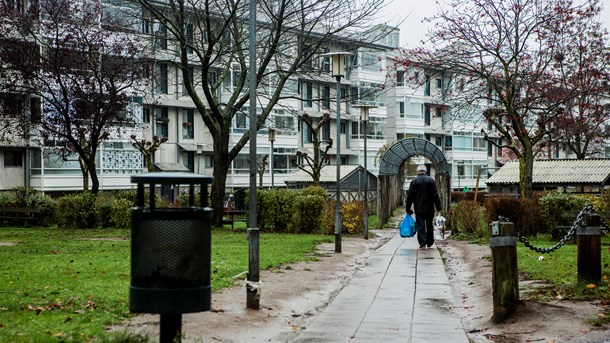 Egedalsvænge i Kokkedal.