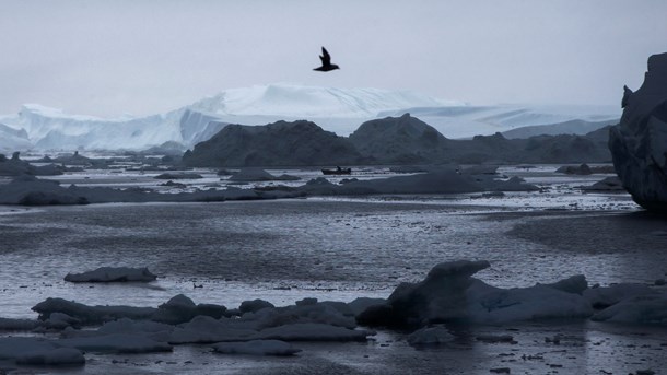 Ilulissat Isfjord, 2016.