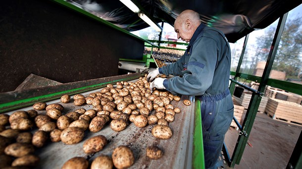 Reststrømme fra de kartofler, vi laver kartoffelmel af, kan bruges til produktion af biobaseret plastik.