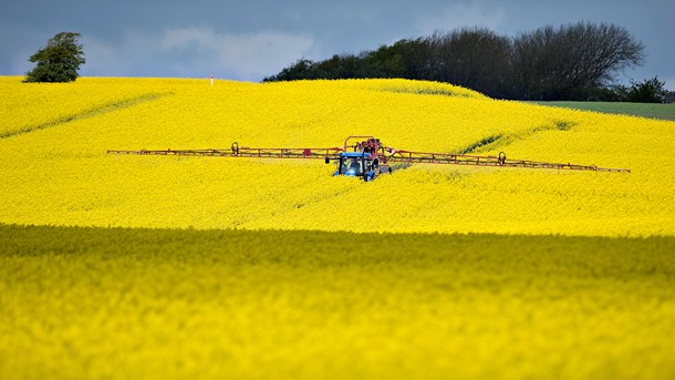 Danskerne går med rette op i deres sundhed. Den store bekymring over pesticider er der dog heldigvis ingen grund til at have, skriver Martin Gejl. 