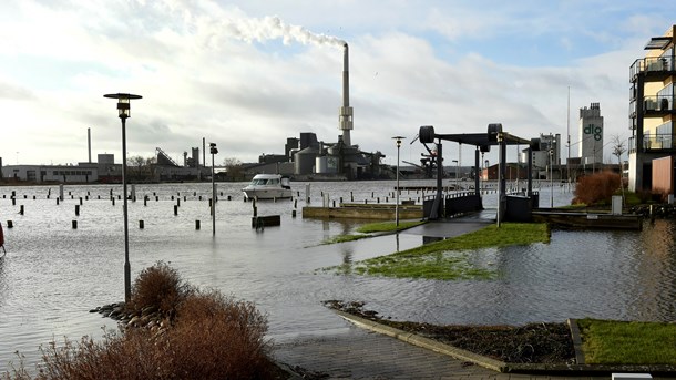 Projektleder: Det store klimaperspektiv viser vejen