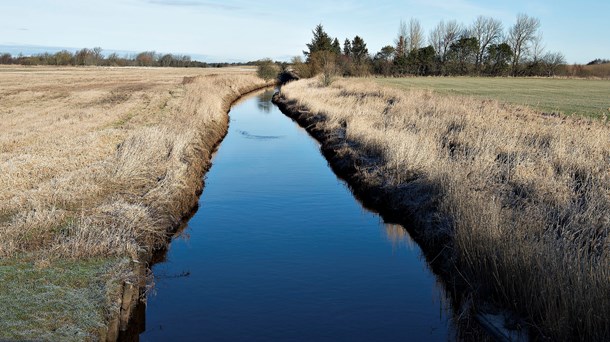 Bæredygtigt Landbrug: Fosfor er en anderledes miljøudfordring