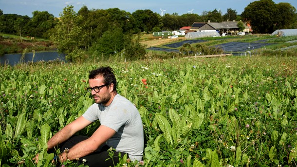 I reglen tror jeg, at vi formes kulinarisk fra barnsben af, og de dufte, der præger ens barndomshjem, bliver en del af, hvem vi er, og i særdeleshed hvor vi kommer fra, skriver Christian Puglisi.