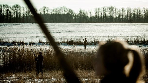 En etisk forsvarlig og vidensbaseret jagt og sanke-samle-tradition har et stort potentiale, mener Tine Gudrun Petersen.