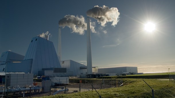 Forsyningsdirektører: Uden biomassen ville vi brænde masser af kul hver dag