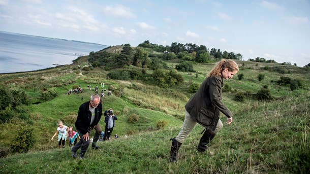 Maria Gjerding, Danmarks Naturfredningsforening, var populær til Naturens Dag i september. Men hendes organisation mister medlemmer over en tiårig periode.