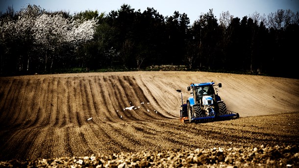 I kvælstofregnskabet for landbrugspakken skulle der i 2017 ske en reduktion på 600 tons kvælstof. Men ifølge nye målinger kan udledningen i årene, efter landbrugspakken blev vedtaget, faktisk være steget med 2.500 tons ekstra kvælstof til danske vandmiljøer, skriver professor Brian Kronvang og biolog Jørgen Windolf fra Aarhus Universitet.