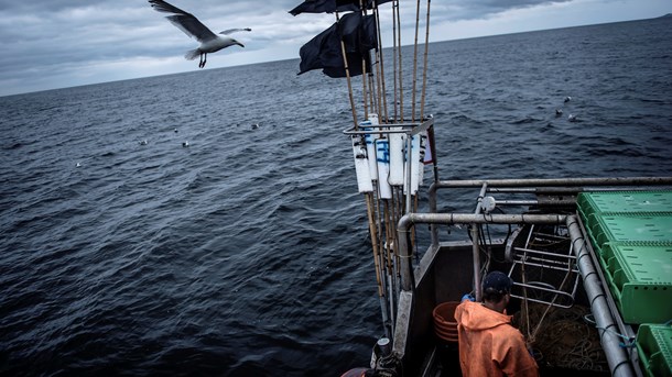 Danmark og Sverige i konflikt om naturbeskyttelse i Kattegat