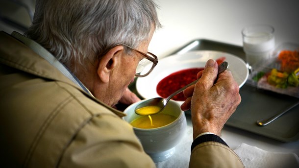 Den danske viden om ældrepleje og velfærdsgastronomi kunne være med til at udvide den voksende plejesektor i Kina, skriver Bent Egberg Mikkelsen og Anna Birthe Bach.