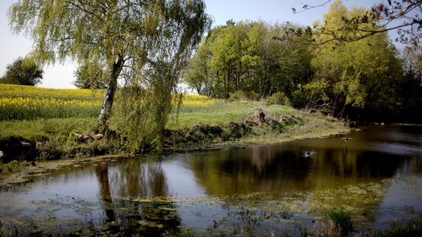 Landbruget skal fylde mindre og naturen mere, hvis det står til Enhedslisten.