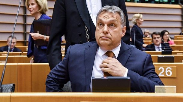 Når DF i Europa-Parlamentet blåstempler Orbáns jernnæve om den ungarske presse og samtidig ønsker at detailstyre Danmark Radio, kan man blive oprigtigt i tvivl om, hvor Dansk Folkeparti gerne vil have os hen, skriver Ole Christensen (S).