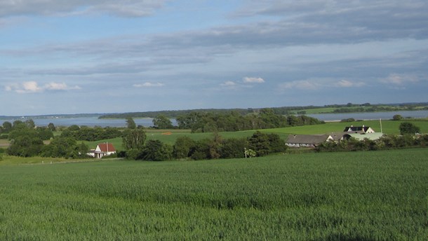 Bæredygtigt Landbrug: Intet viser øget kvælstofudledning efter Landbrugspakken