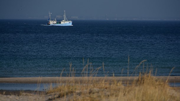 Danmark har en professionel tilgang til arbejdet med Natura
2000, som respekteres både i EU-Kommissionen og i de EU-lande, som vi deler
farvande med, skriver Kenn Skau Fischer.