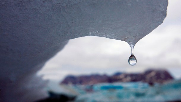 Velux Fonden og Villum Fonden vil måle nøjagtigt, hvilken effekt deres investeringer har på klimaet.