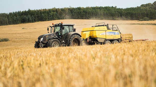 Vismændene om klimaplan: De billigste CO2-reduktioner bør foretages først