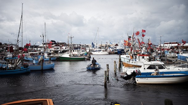 I Gilleleje får sildefiskeriet lov til at fortsætte på trods af forskeres anbefalinger. 