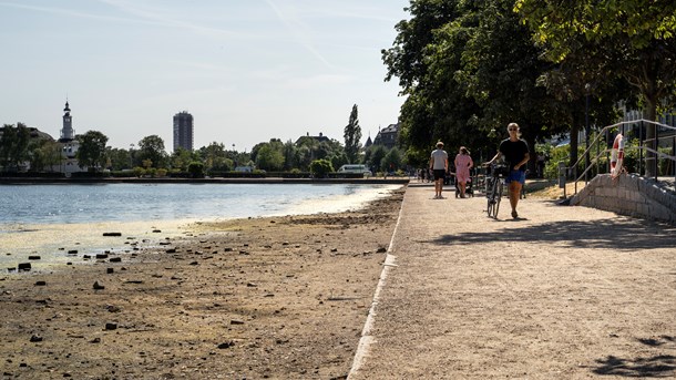 Ny måling: Danskernes bekymring for klimaforandringerne vokser