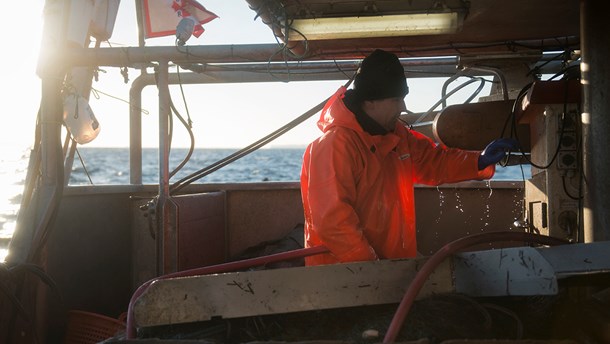 Søren Jacobsen er formand for Foreningen for Skånsomt Kystfiskeri og erhvervsfisker i Øresund.