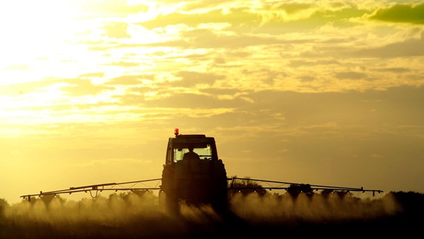 Flere lande har forbudt pesticider på offentlige arealer