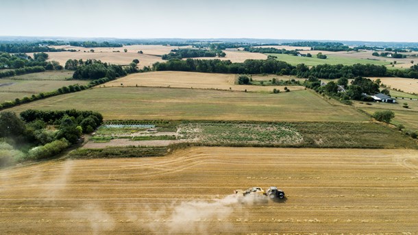 Alternativet til Landbrug & Fødevarer: Tag vores udstrakte hånd