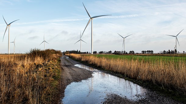 Nær den dansk-tyske grænse skaber vindmøller ifølge foreløbige beregninger så meget larm, at grænseværdierne for støj er overskredet. (Foto: Henning Bagger/Ritzau Scanpix).