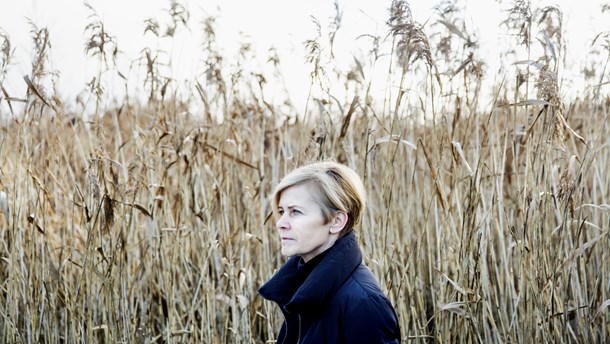 Landbrug & Fødevarer og KL vil have kulturminister Mette Bock til at forbedre sagsbehandlingen af diger.