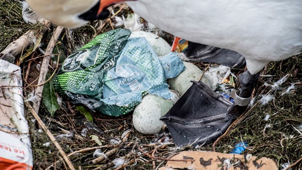 Der er behov for mere viden og bedre værktøjer, hvis vi for eksempel gennem produktdesign skal gøre det enklere at genanvende i fremtiden, skriver DI og Plastindustrien.