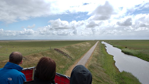 En dige på Mandø i Vadehavet. Vi kan spare vores børnebørn for mange økonomiske og materielle omkostninger, hvis vi allerede nu begynder at bygge flere diger, skriver Ole Mark fra DHI.