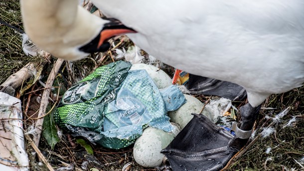 EU forbyder salget af bl.a. engangsbestik, ballonpinde og sugerør af engangsplastik i 2021. (Foto: Mads Claus Rasmussen/Ritzau Scanpix)