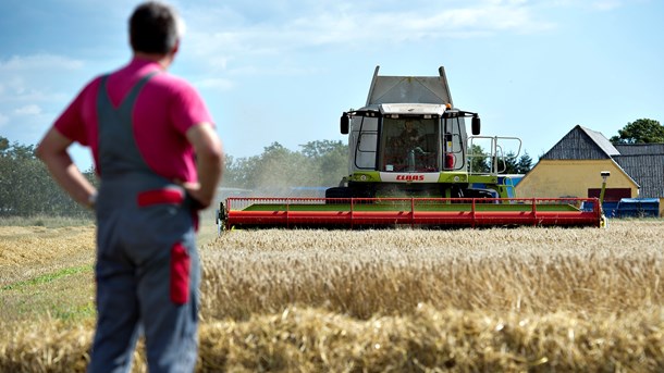 Debat: Landbrugsstøtten falder i de forkerte lommer