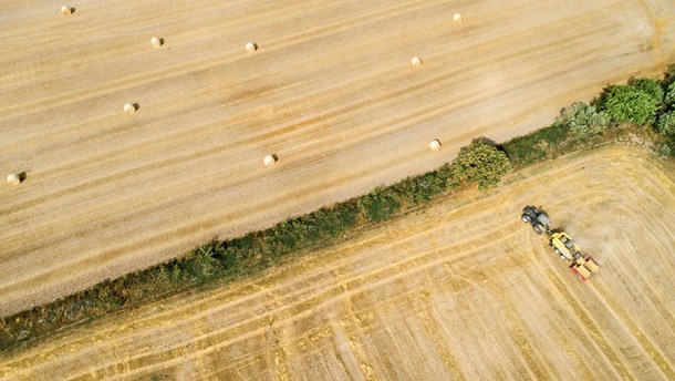 EU-Parlamentet kræver strammere regler for pesticider