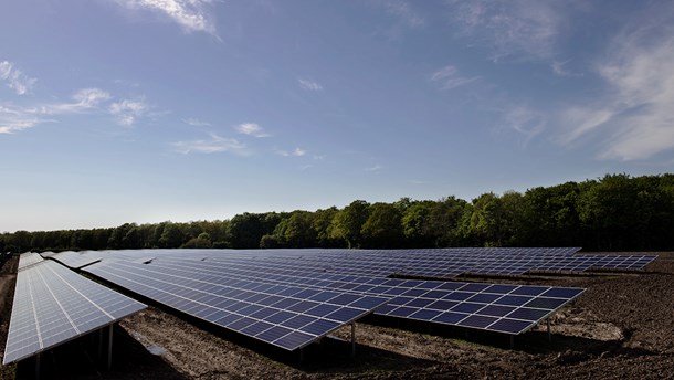 Vi skal styrke den grønne omstilling, mener 11 ngo'er, som nu stiller borgerforslag om en ny dansk klimalov.