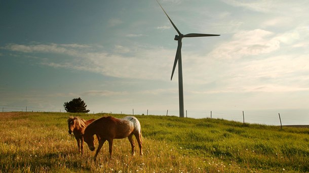 Desværre bliver international klimapolitik alt for ofte negligeret til løse håndtryk og hensigtserklæringer, mener EP-kandidater fra ALT, R og SF.