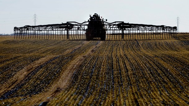 Den nye Novana-rapport bekræfter et udkast fra januar 2019 og viser, at landbruget bruger mere kvælstof end sidste år. (Foto: Morten Stricker/Ritzau Scanpix).