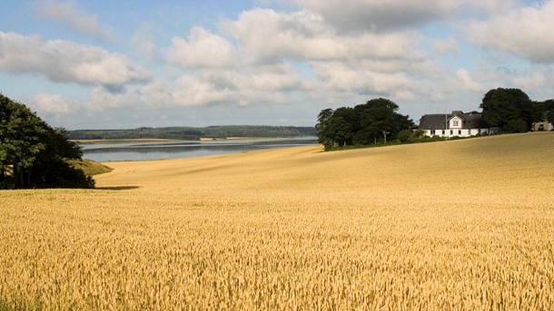 Geograf: Historisk mulighed for at tegne fremtidens natur og landbrug