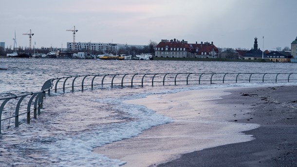 I stedet for at tælle døde efter en storm er det mere relevant at undersøge forebyggende indsatser mod eksempelvis stormfloder, mener Laila Kildesgaard.