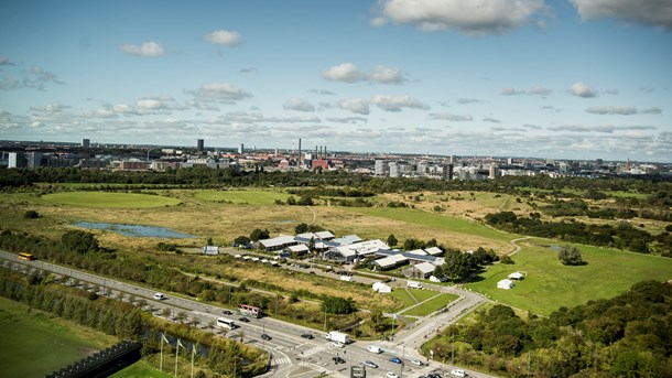 Amager Fælled er igen centrum for en politisk konflikt. Denne gang er DN og Enhedslisten vrede over, at Folketinget ved lov ophæver en række fredninger. (Foto: Asger Ladefoged/Ritzau Scanpix)