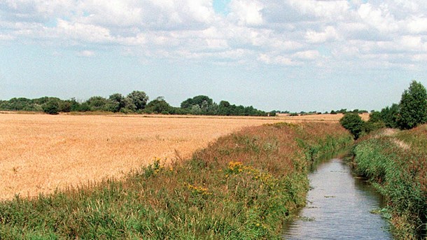 Bæredygtigt Landbrug: Et halvt klimaregnskab er ikke et regnskab