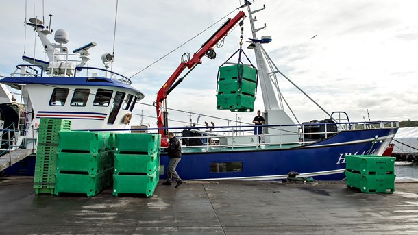 Den nye politiske aftale kommer på et tidspunkt, hvor Brexit står for døren, hvilket i forvejen kan koste danske fiskere dyrt, skriver Danmarks Pelagiske PO og Fiskeriforeningen.