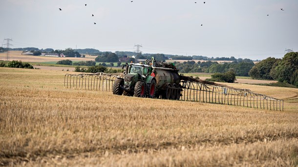 Kun 40 landmænd ansøgte i 2018 om at etablere minivådområder, der kan 
optage gylle, inden det løber ud i vandmiljøet. (Foto: Henning 
Bagger/Ritzau Scanpix).