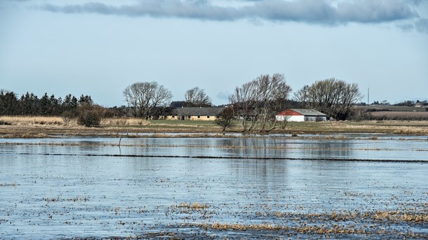 En S-ledet regering kan komme til at bede om mere tid for at bringe vandmiljøet i god økologisk tilstand. (Foto: Henning Bagger/Ritzau Scanpix)