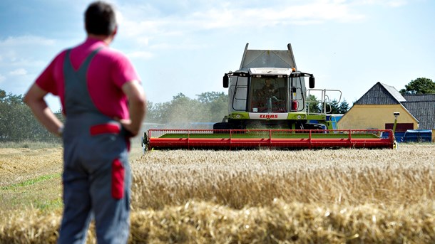 Ny strategi skal gøre landbruget grønt: Vil have samme partnerskab som vindmølleindustrien 