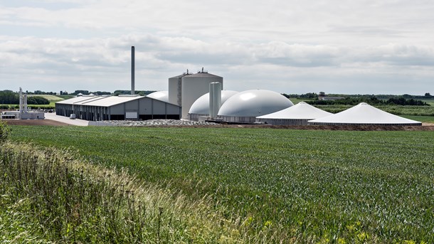 Der er brug for offentlig støtte til at skabe en bioraffineringsinfrastruktur, skriver Partnerskabet for Bæredygtig Bioraffinering.