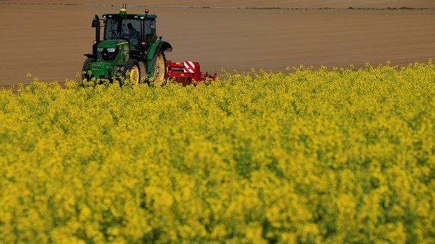 Blandt andet skal landbrugsstøtten understøtte biodiversitet, skriver Margrete Auken (SF).