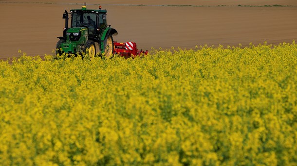 L&F: Regeringen og DF har fat i en del af løsningen på biodiversitetskrisen